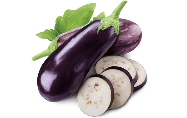 Long Eggplant (Brinjal)