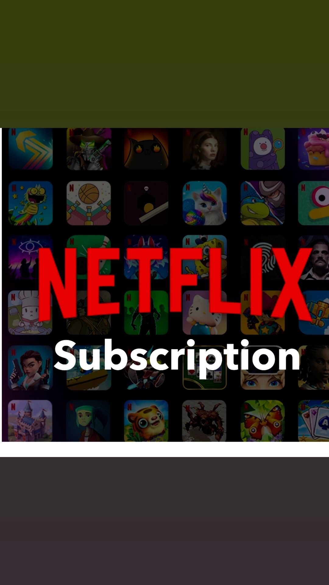 Netflix Subscription 