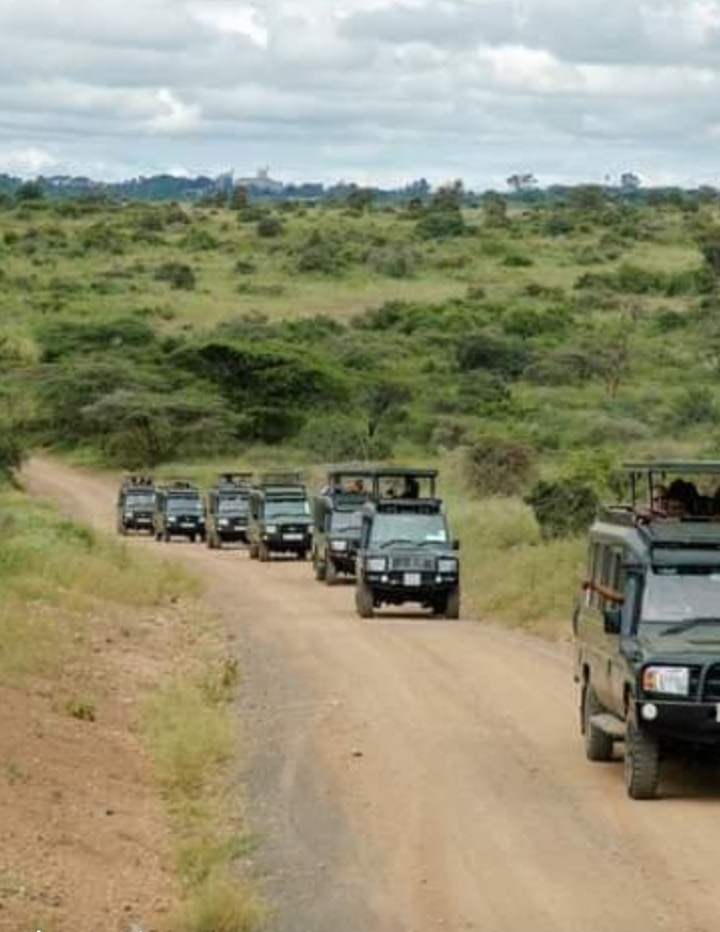 3 DAYS IN OLPAJETA CONSERVANCY 