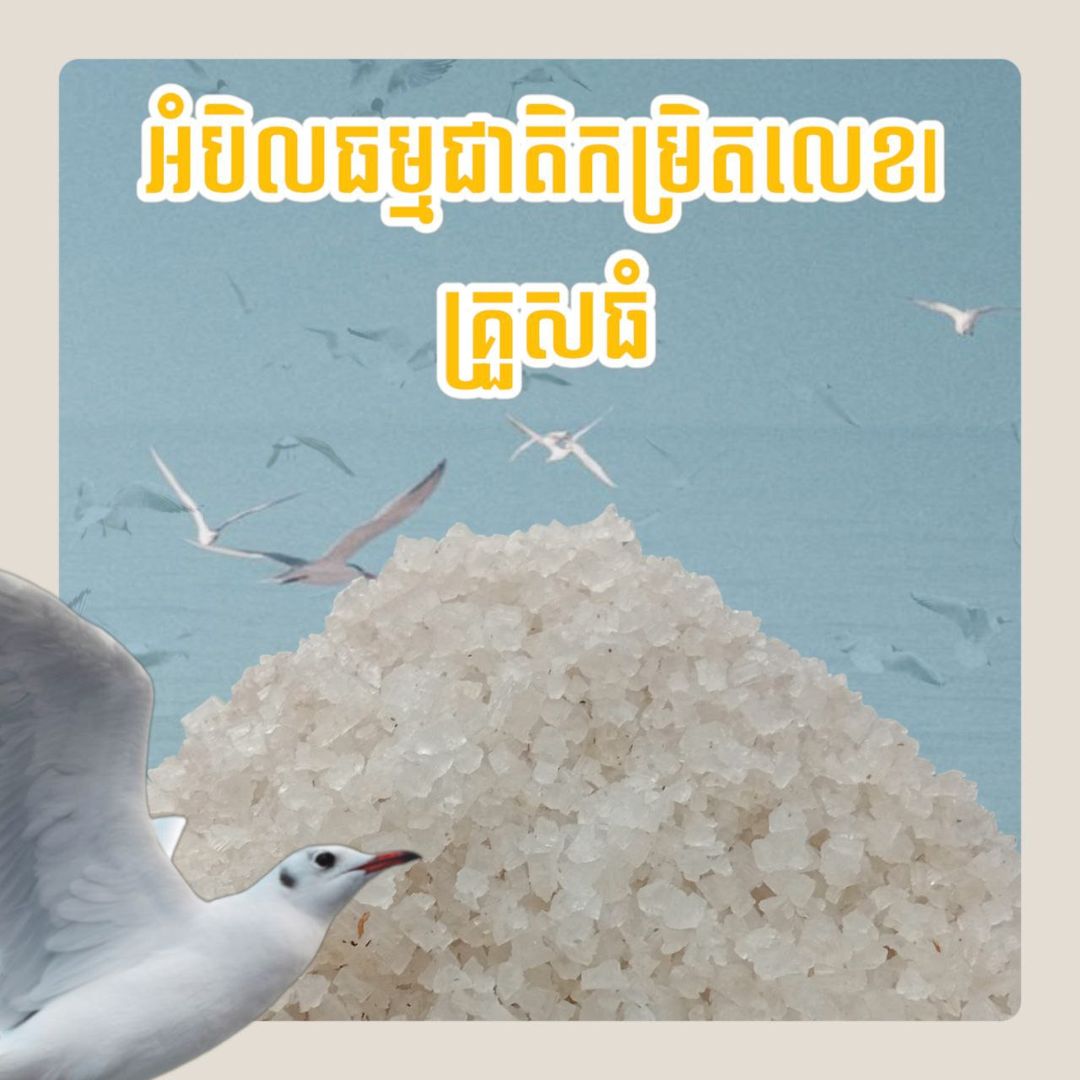 អំបិលធម្មជាតិកម្រិលលេខ1