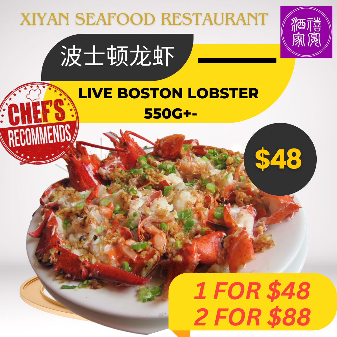 Live Boston Lobster (波士顿龙虾 550g+-)