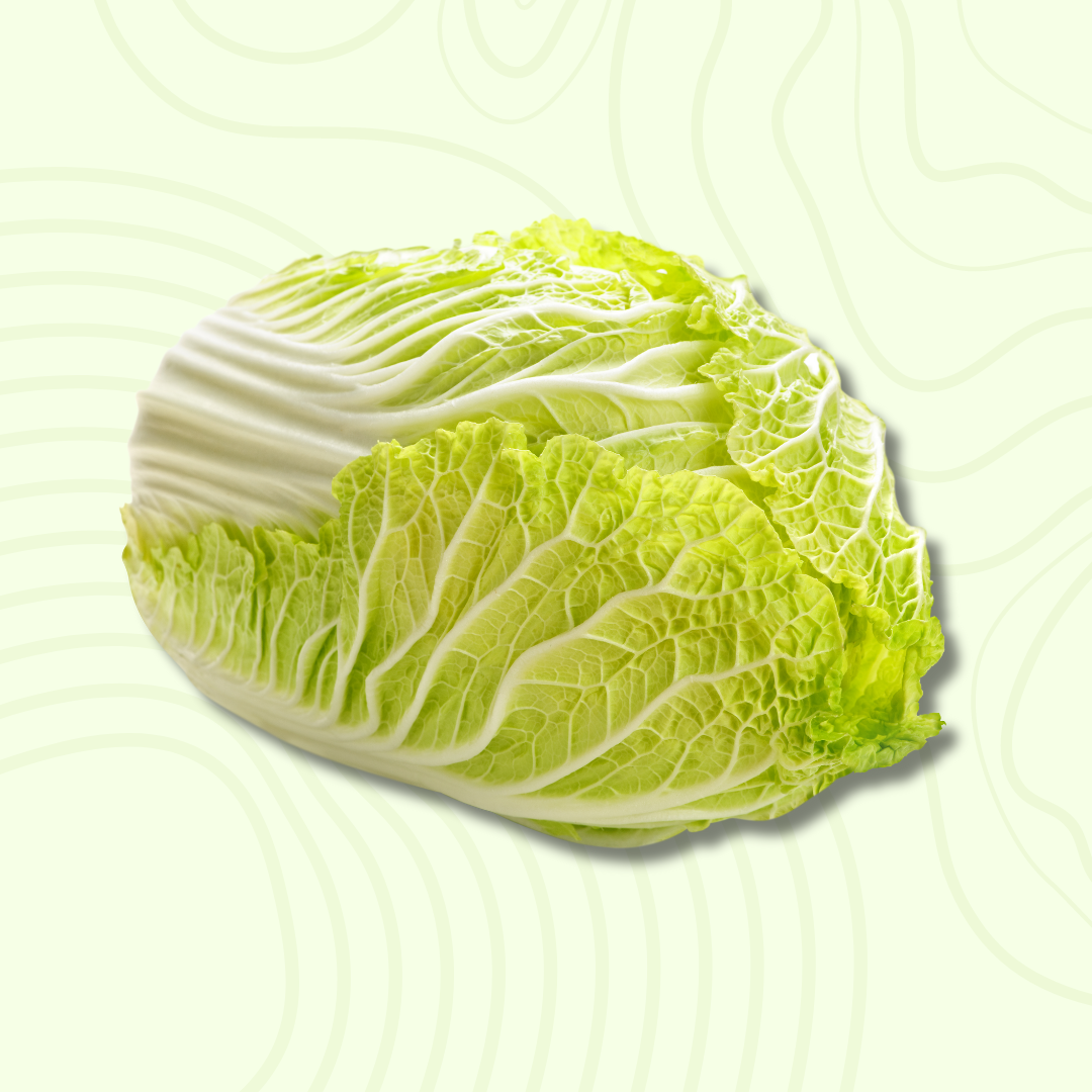 Cabbage chinese