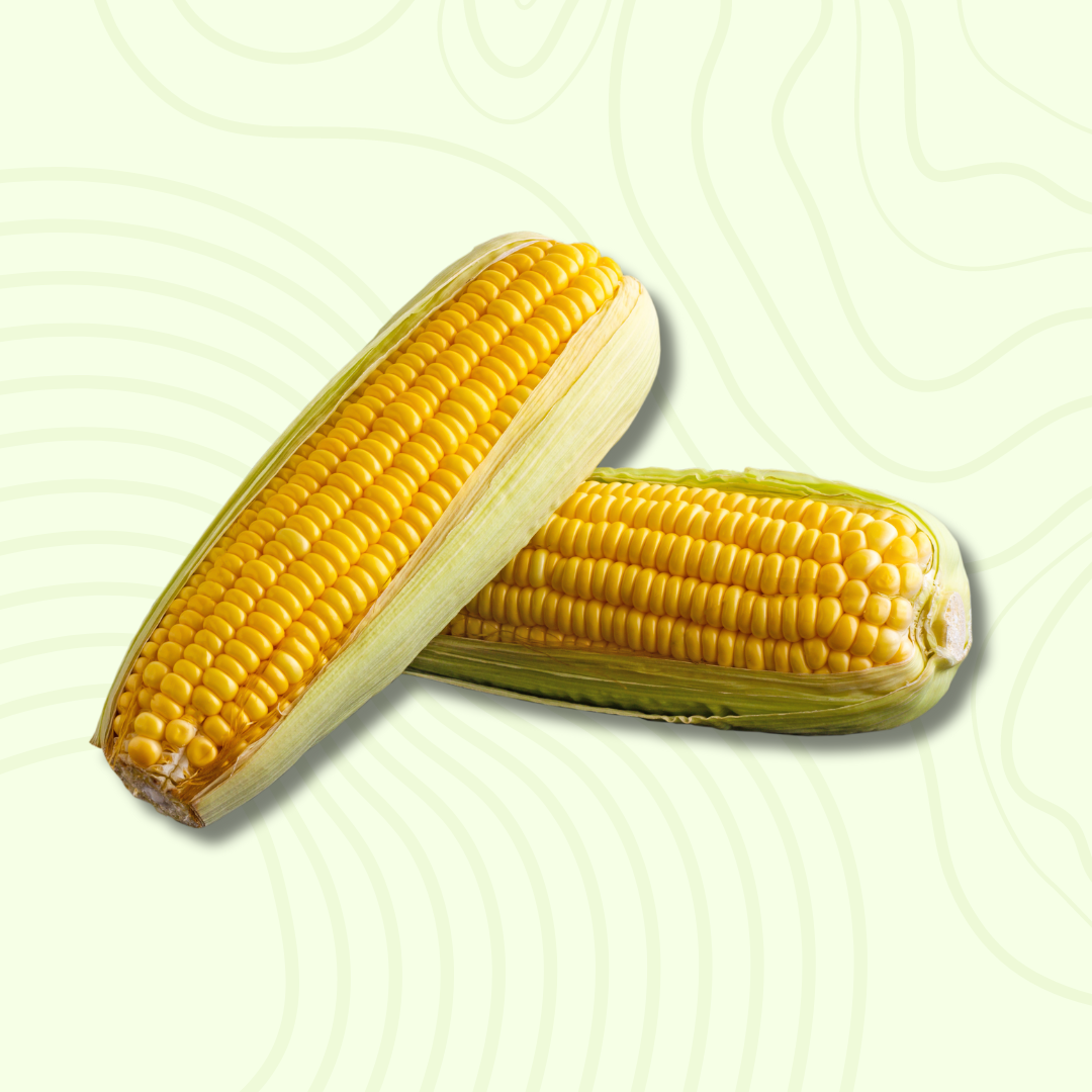 Sweet corn