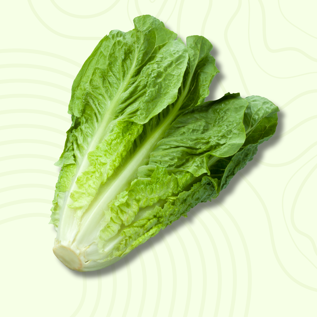 Romaine lettuce