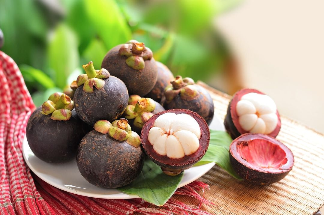 Mangosteen