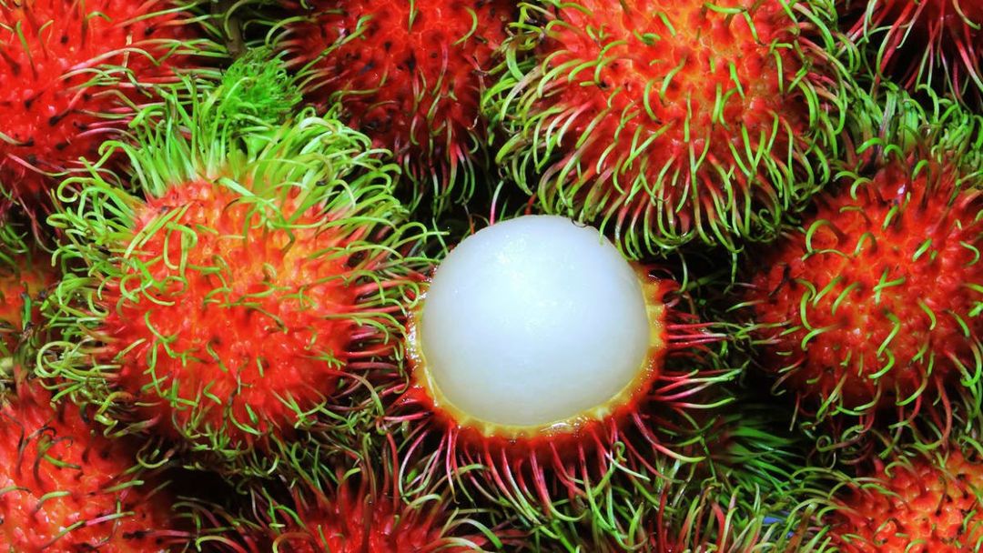 Rambutan