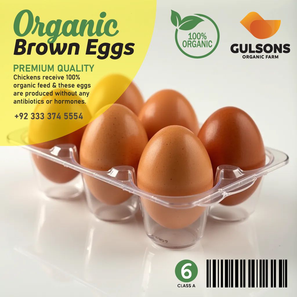 Pack of 6 Organic Brown Egg