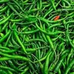 Green chilli 500gm 