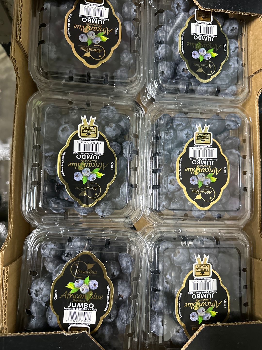 BERRY-BLUEBERRY JUMBO (AF) 125gm 1x12 per ctn