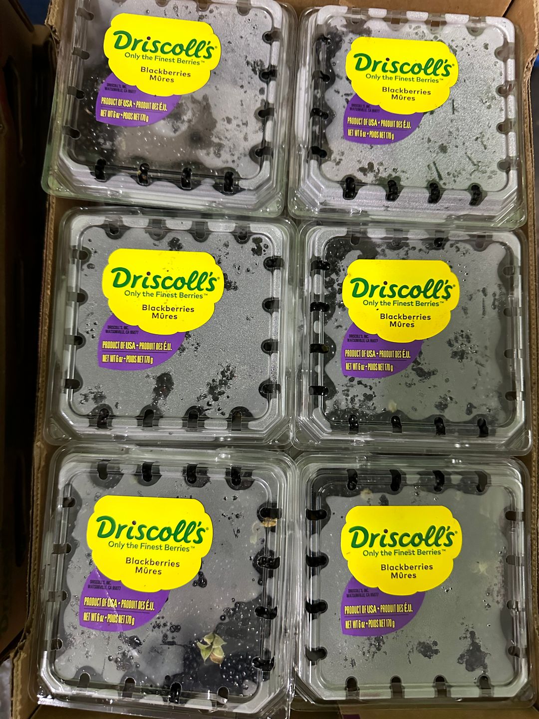 BERRY-BLACKBERRY (USA) 170gm 1x12 per ctn