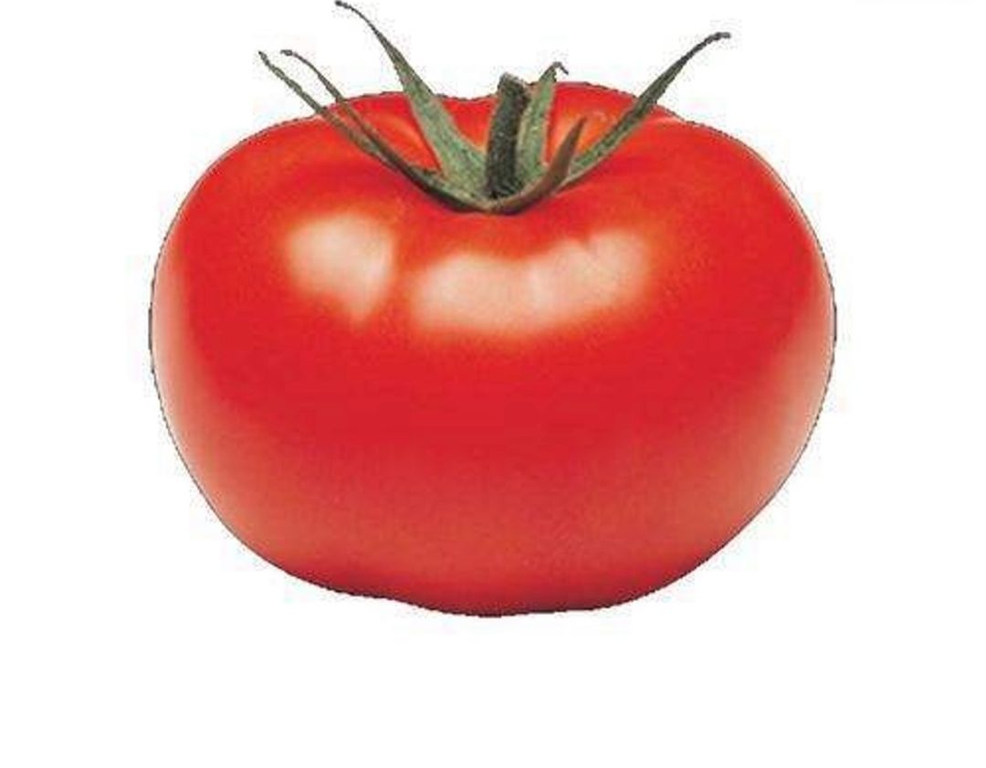 Tomato 1 kg