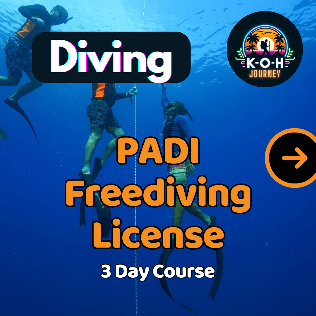 PADI Freediving License 🪪 - 3 Day Course