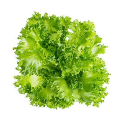 Meod Crystal Lettuce (150g)-沙拉生菜