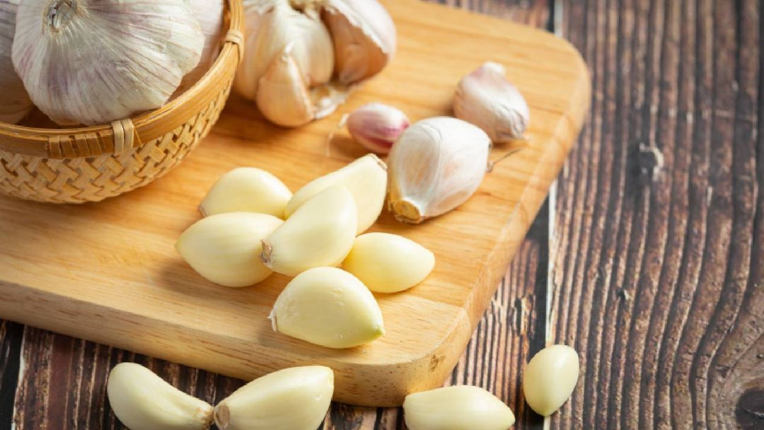 Garlic