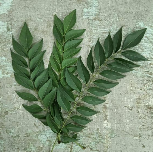 Organic Curry Leaf ( 50 g)