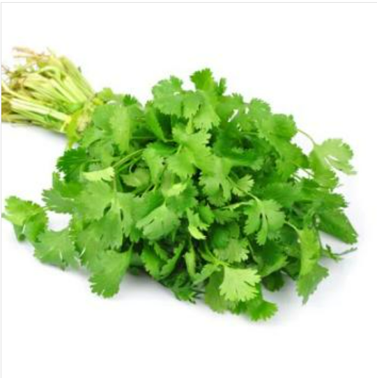 Organic Coriander - 芫茜 - (40 g )