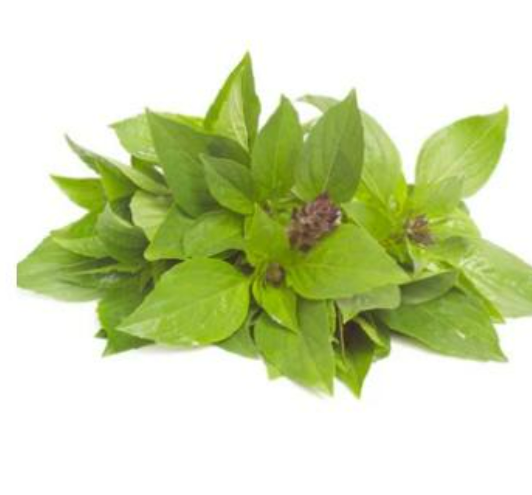 Organic Thai Basil - 九層塔 10g