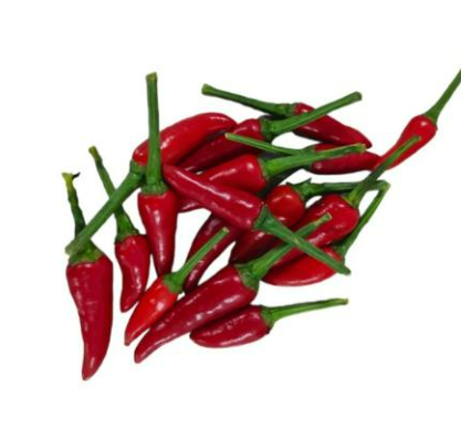 Organic Chilli Padi 40g