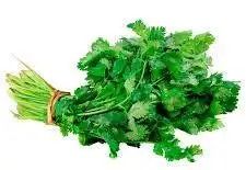 cilantro 100 grs