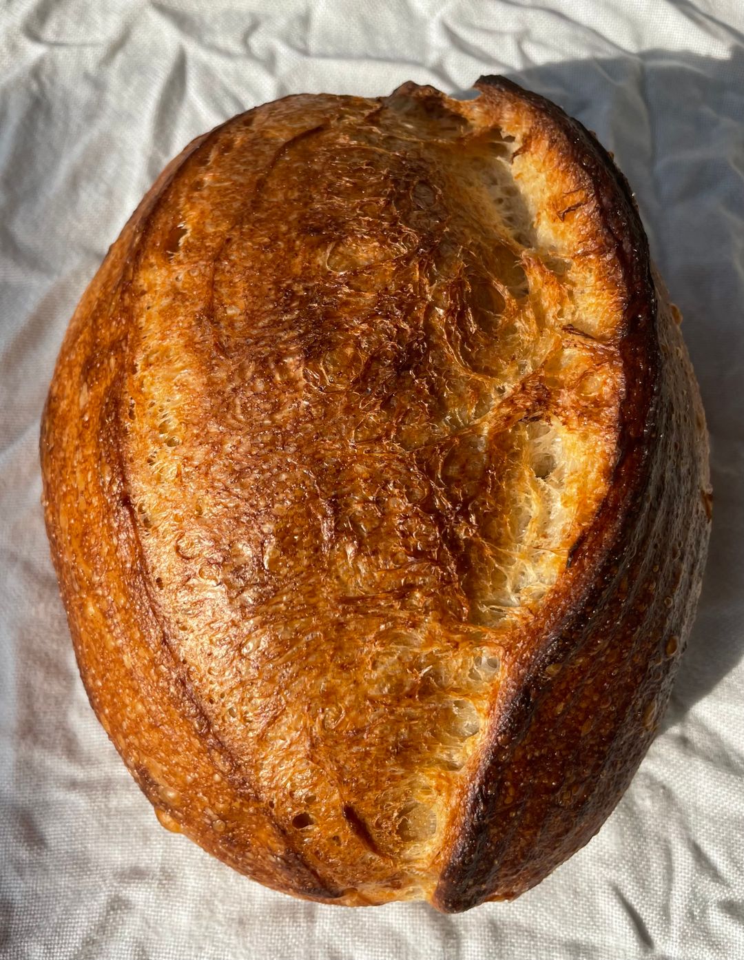 Classic Sourdough Loaf