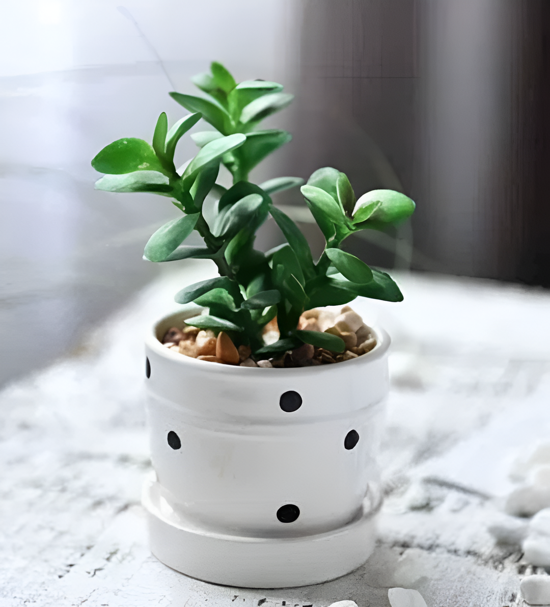 Artificial Plant HL2356-5