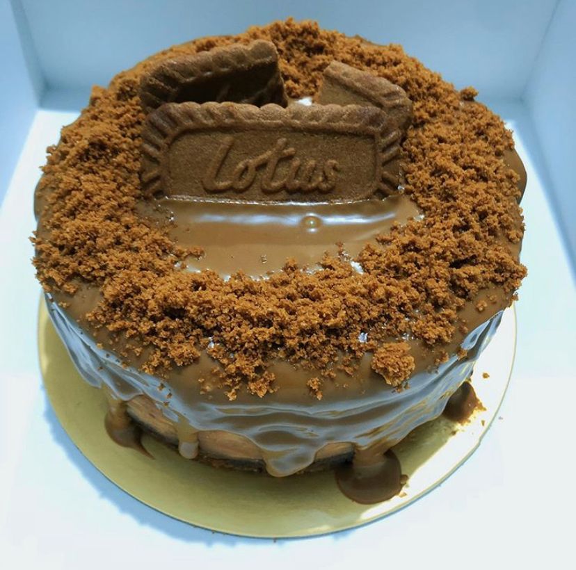 6” Speculoos Cheesecake