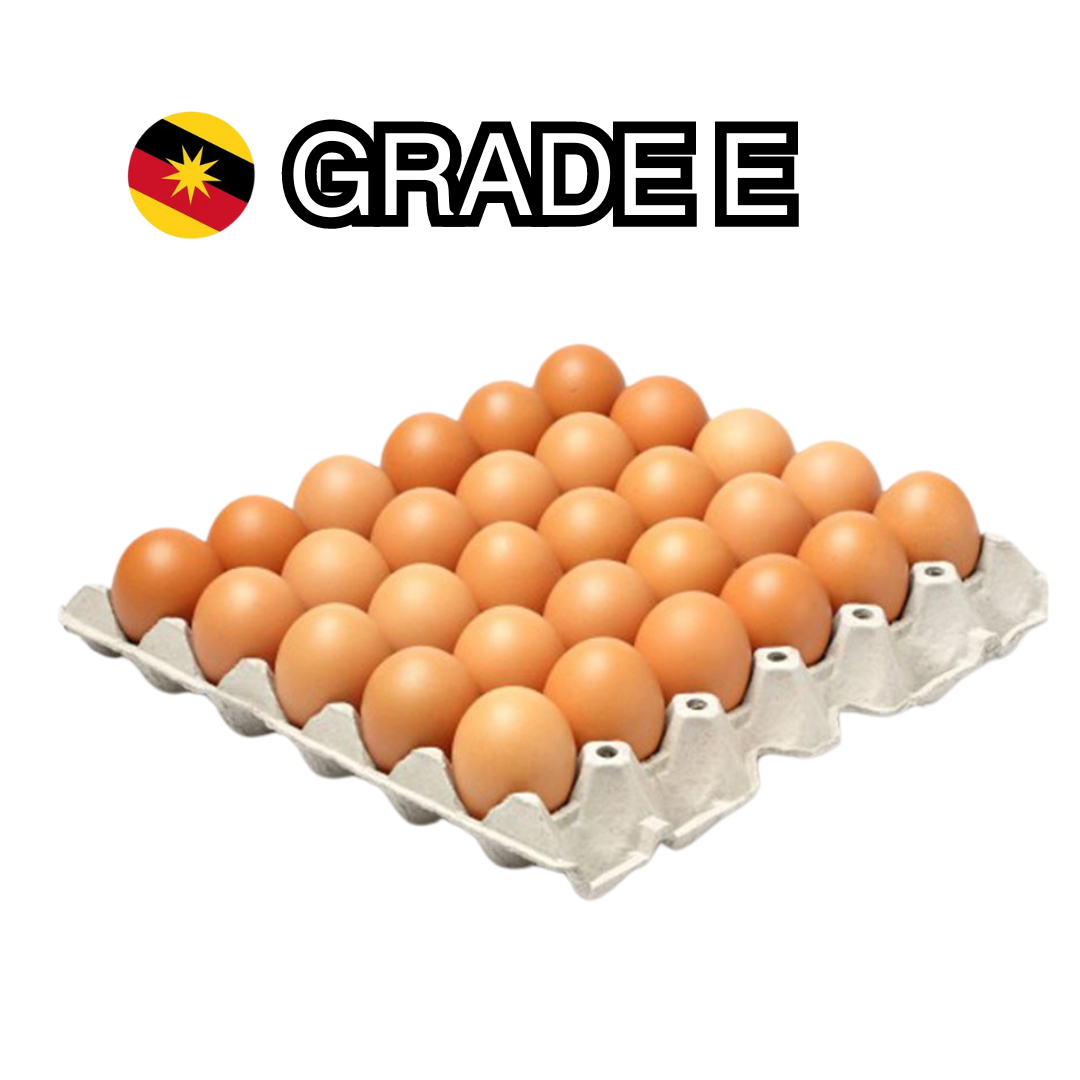 Classic Egg Grade E