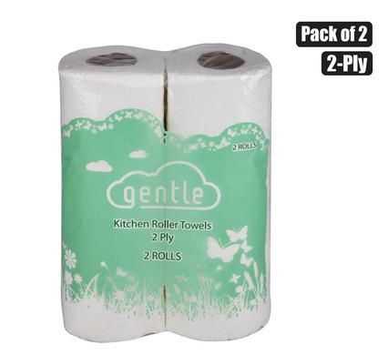 PAPER TOWEL 2PLY 2-PACK