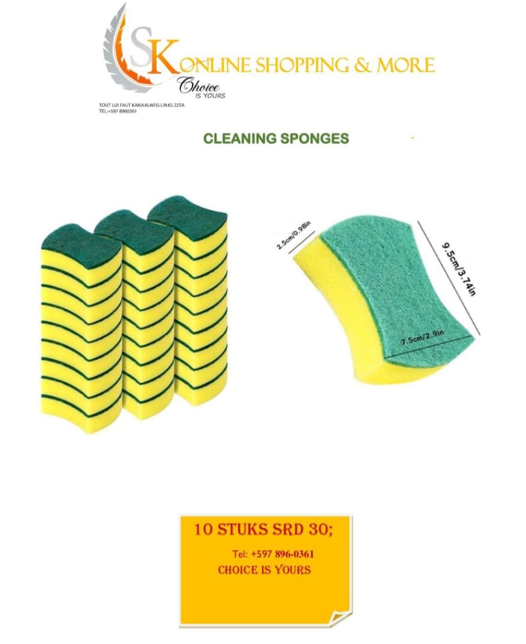 Cleaning Sponges (10 pcs)