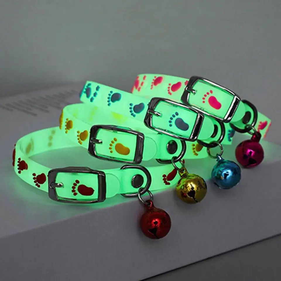 Collier Fluo pour Chat