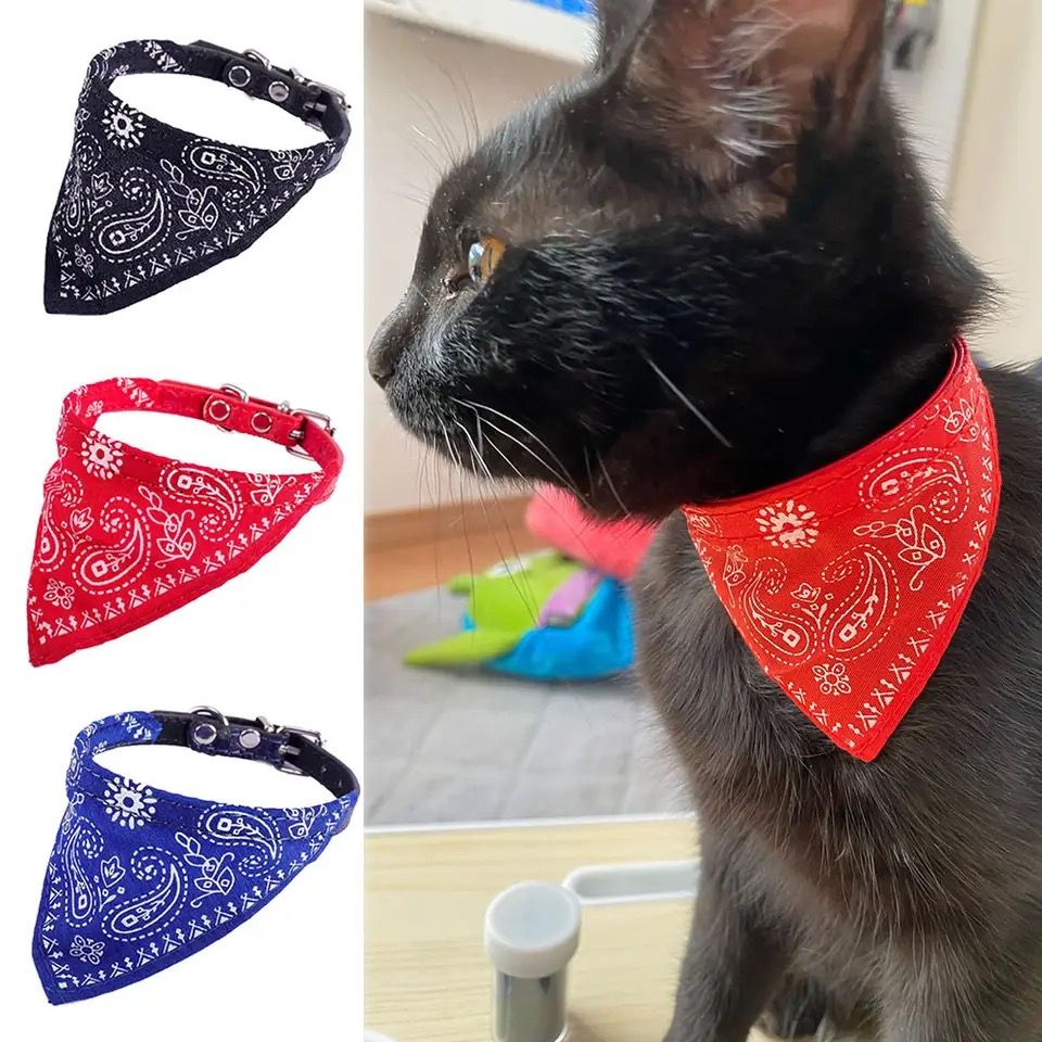 Foulard Gangster pour Chat – Le Style Rebelle pour Votre Félin