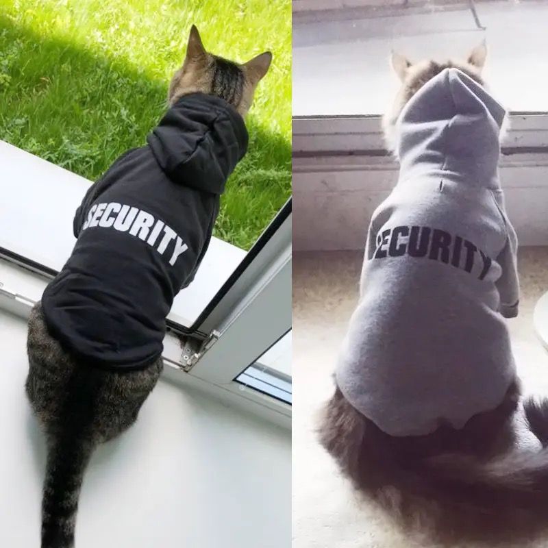 Pull "Security" avec Capuche pour Chat – Look Protecteur et Tendance