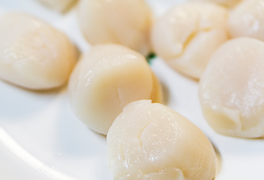 Premium Japanese Scallops (500g)