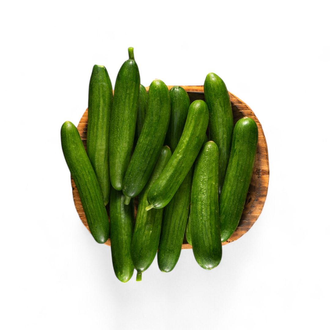 .PEPINO PERSA (CRIOLLO) PAQ
