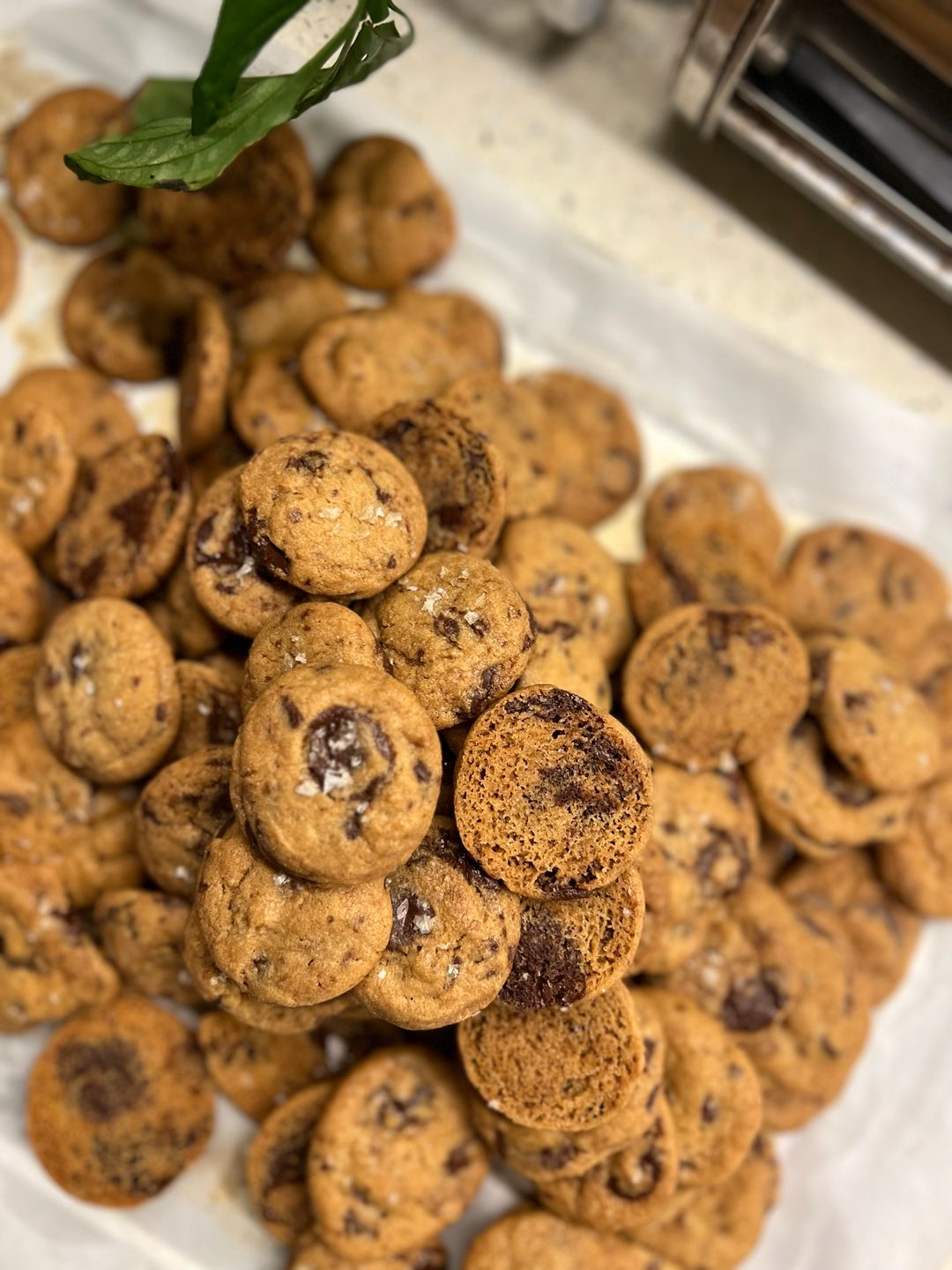 Sea Salt Chocolate Chips