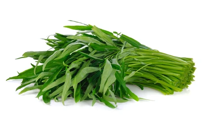 Kangkong