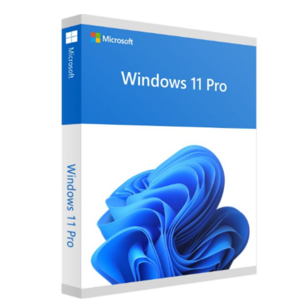 Windows 11 Pro