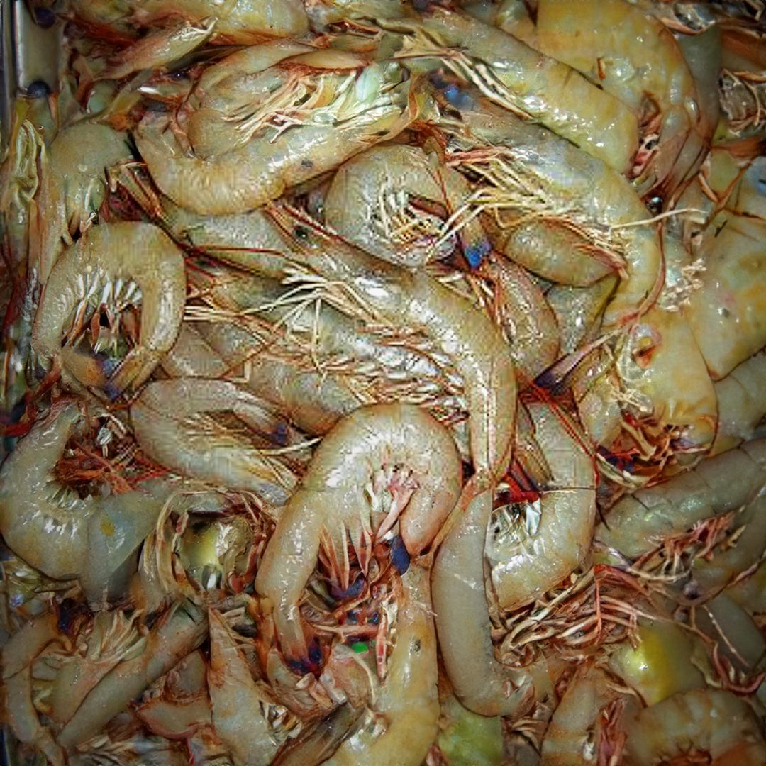 Fresh Banana Prawns (4/6)