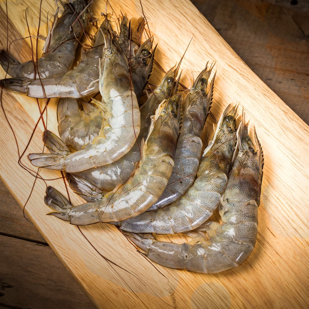 Fresh Wild Caught Tiger Prawns (10/12)