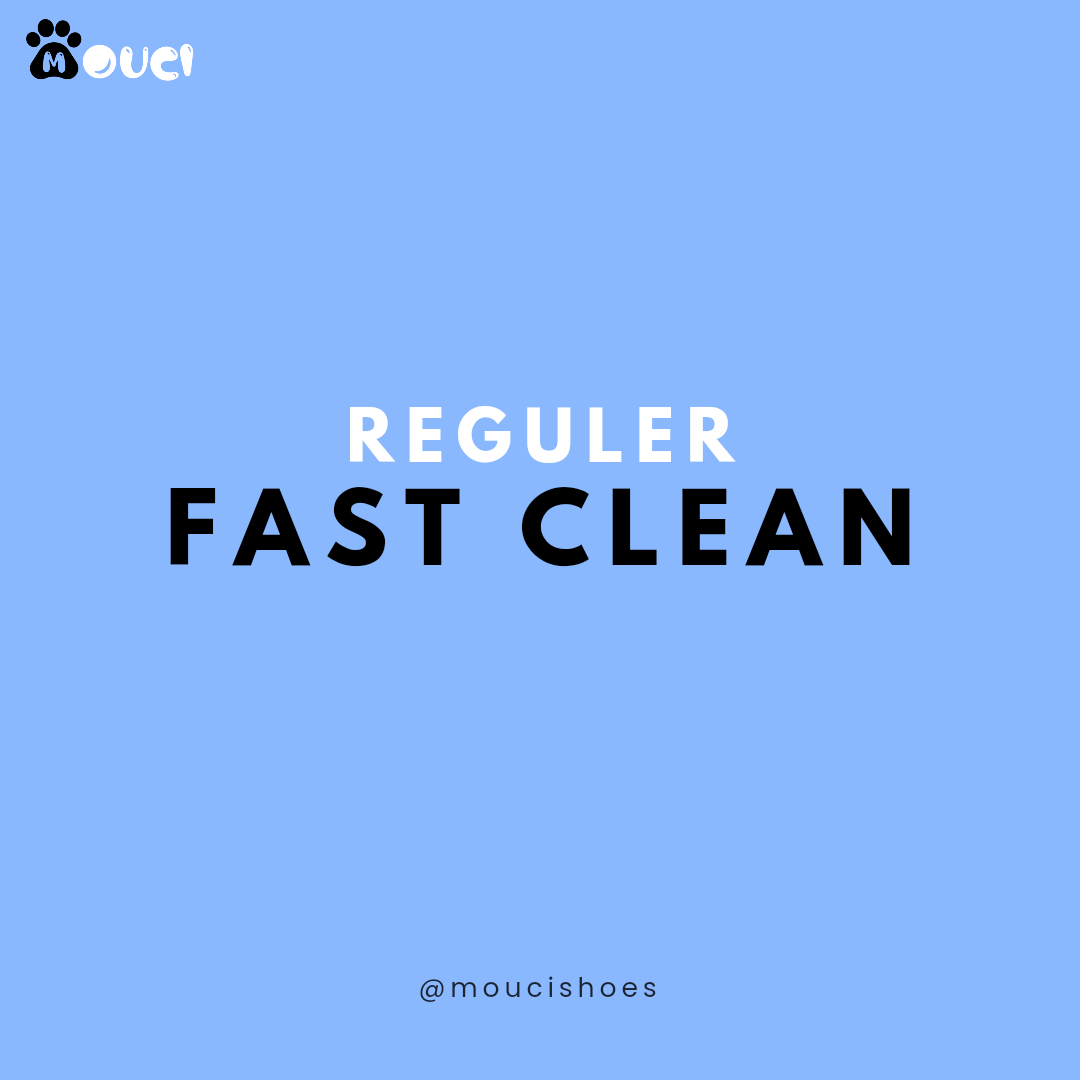 Reguler Fast clean