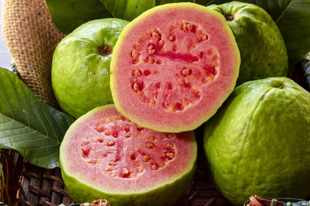 Guava Icepop