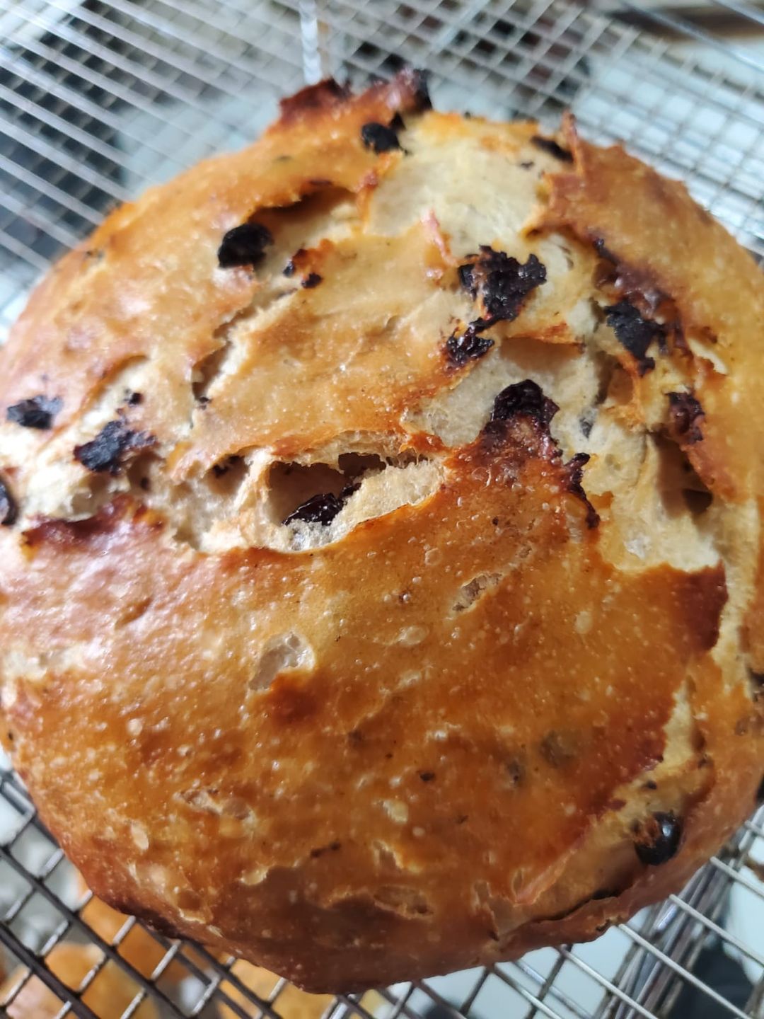 Currants Sourdough