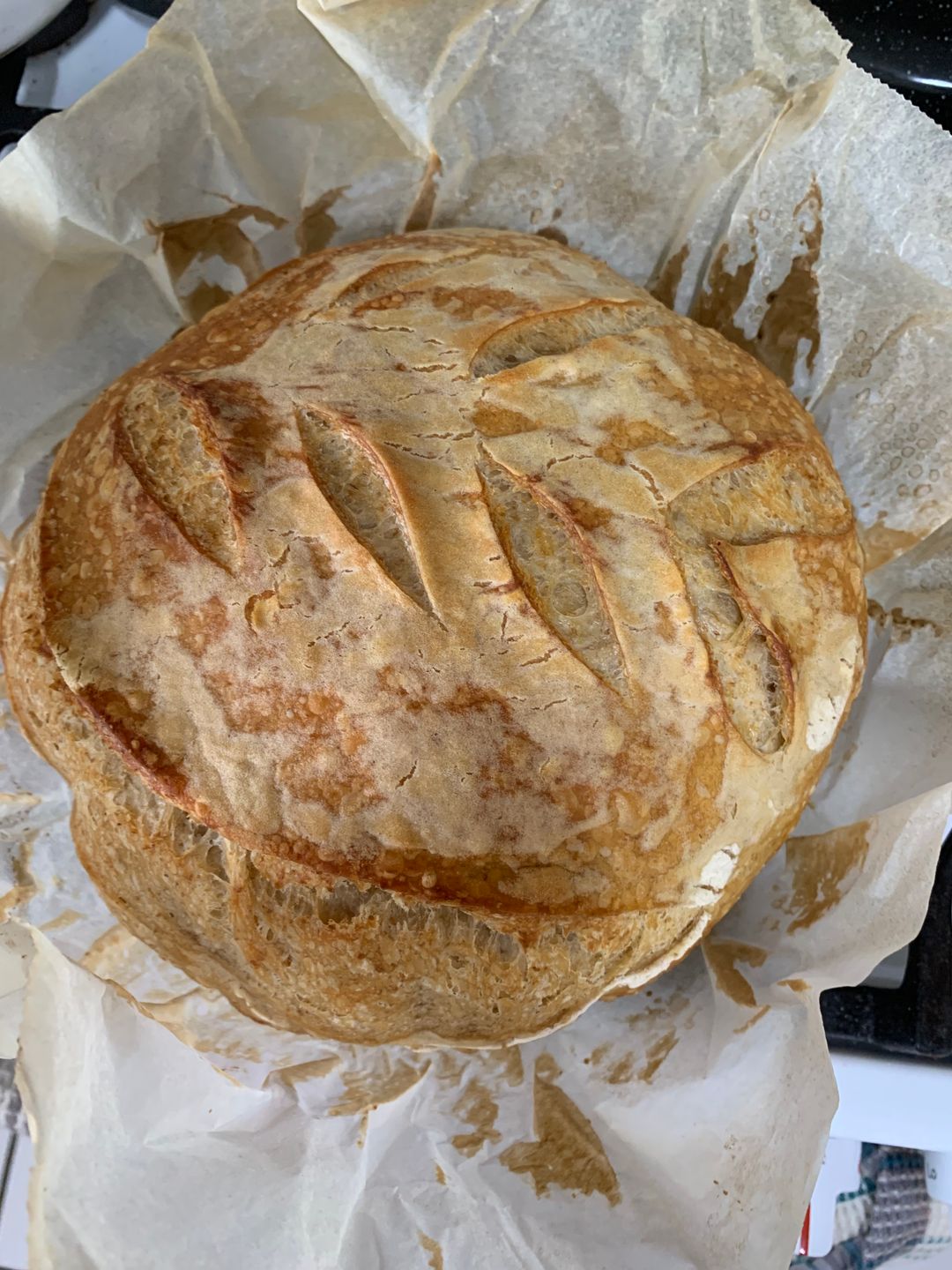 Sourdough Artisan Bread