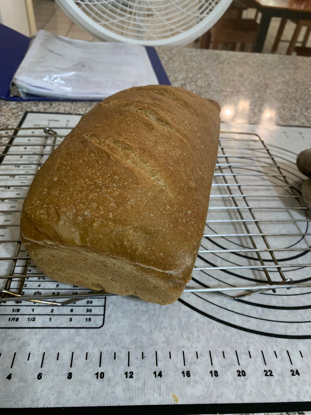 Sourdough Sandwich Loaf