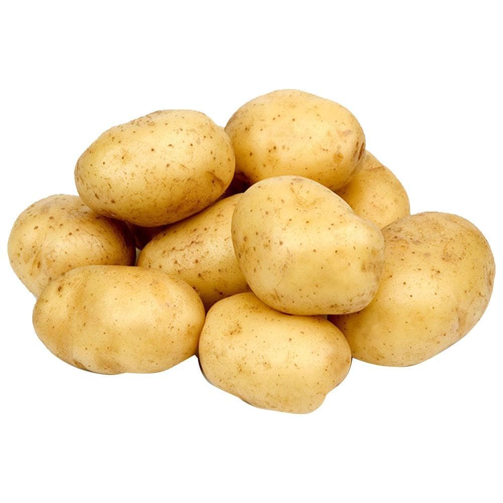 Potato