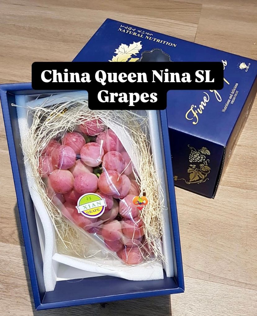 CHINA QUEEN NINA RED SL GRAPES GIFTBOX (1KG)