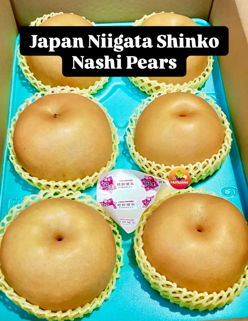 JAPAN SHINKO PEARS XL