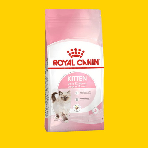 ROYAL CANIN - Chaton