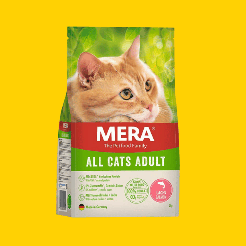 MERA - Chat Adulte - Saumon