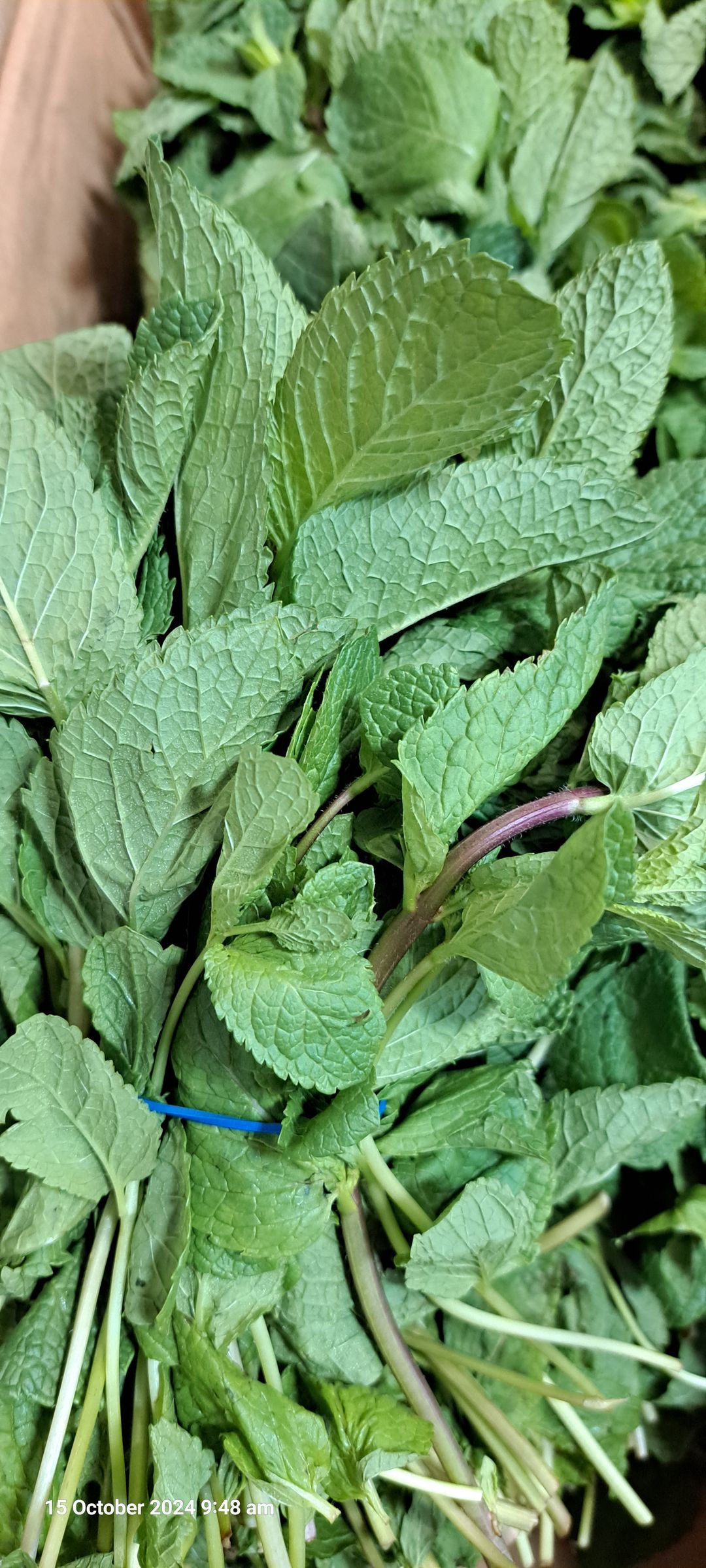 Mint leaves 